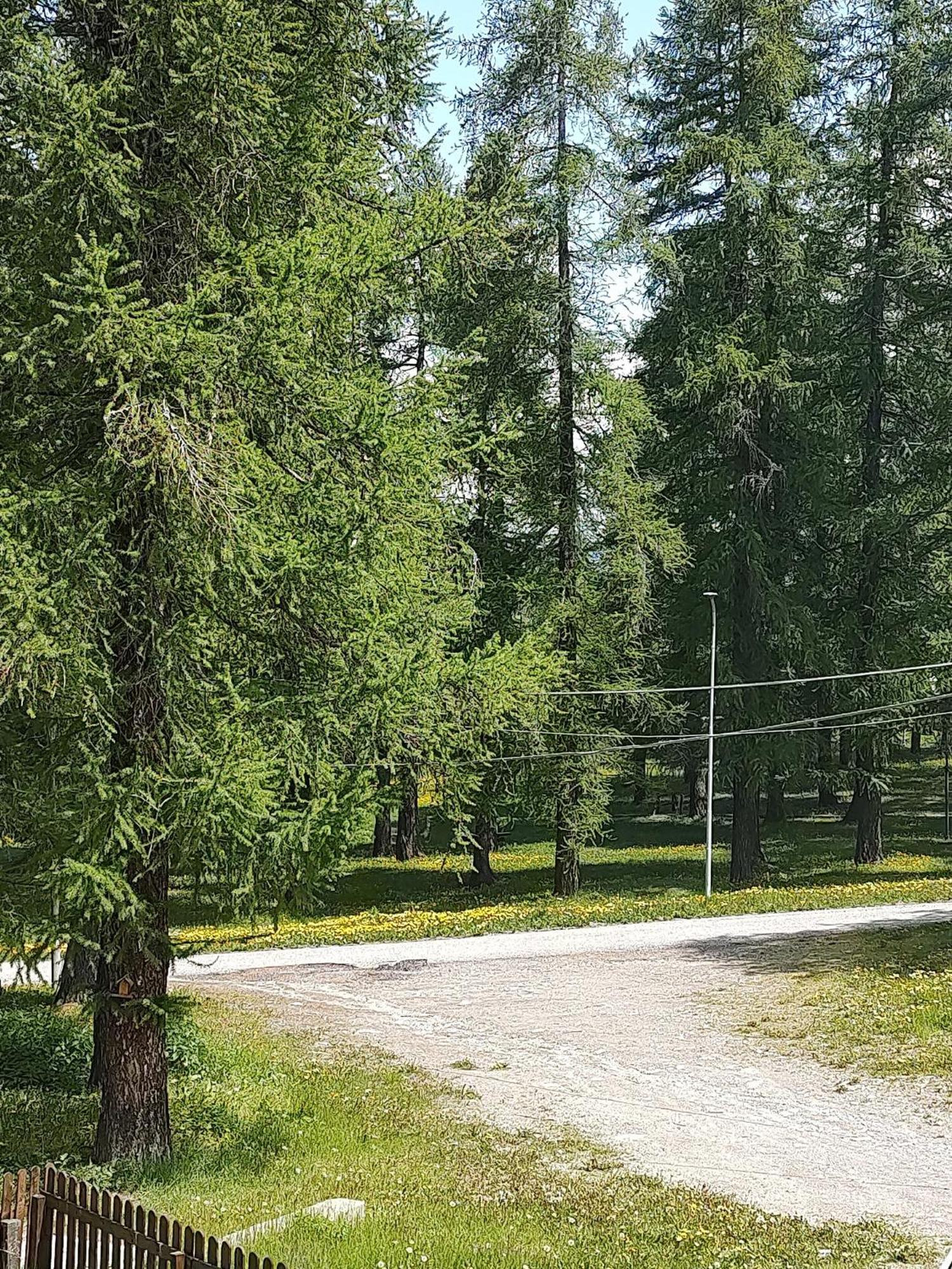 Апартаменти Montagna Che Passione Chiomonte Екстер'єр фото